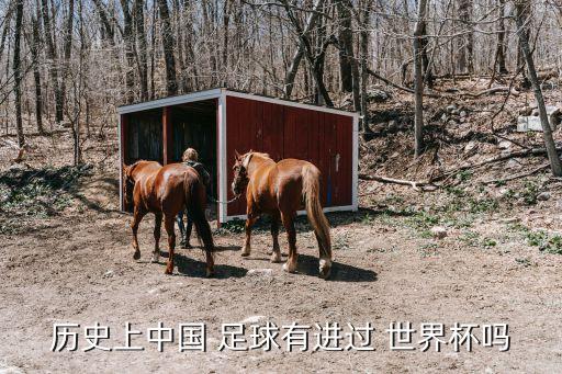 歷史上中國 足球有進過 世界杯嗎