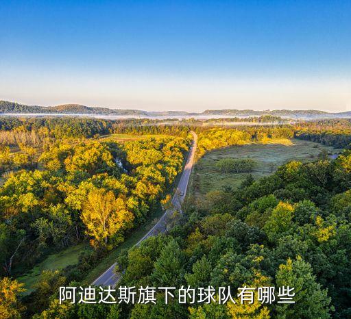  阿迪達斯旗下的球隊有哪些