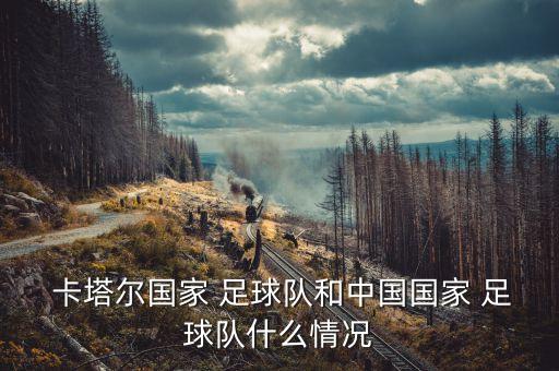  卡塔爾國家 足球隊和中國國家 足球隊什么情況