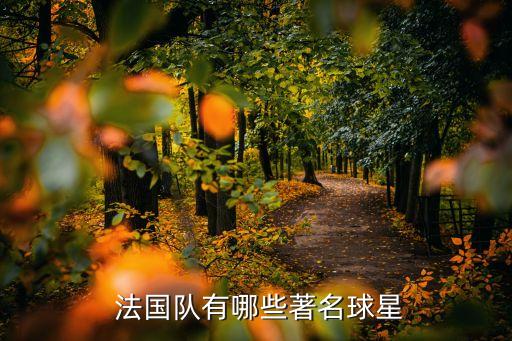  法國隊有哪些著名球星