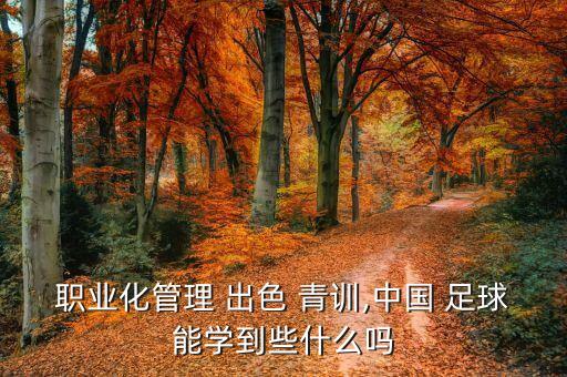 職業(yè)化管理 出色 青訓(xùn),中國 足球能學(xué)到些什么嗎