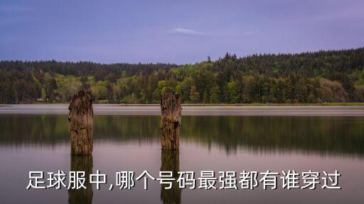  足球服中,哪個(gè)號(hào)碼最強(qiáng)都有誰穿過