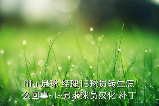 fifa 足球 經(jīng)理13球員轉(zhuǎn)生怎么回事~!~另求球員漢化 補丁