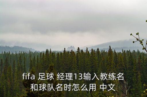 fifa 足球 經(jīng)理13輸入教練名和球隊名時怎么用 中文