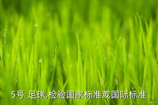 5號 足球,檢驗國家標準或國際標準