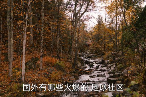 國外有哪些火爆的 足球社區(qū)