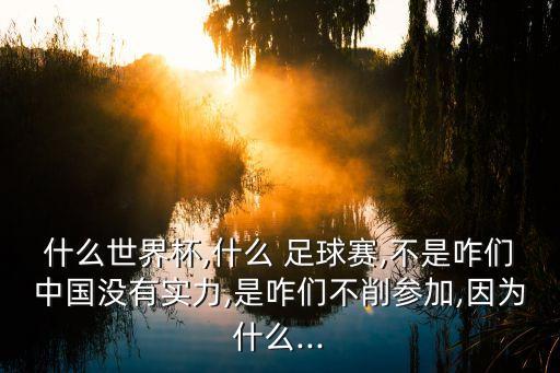 什么世界杯,什么 足球賽,不是咋們中國(guó)沒有實(shí)力,是咋們不削參加,因?yàn)槭裁?..