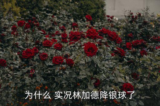 為什么 實況林加德降銀球了
