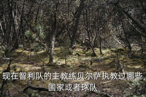 現(xiàn)在智利隊的主教練貝爾薩執(zhí)教過哪些國家或者球隊