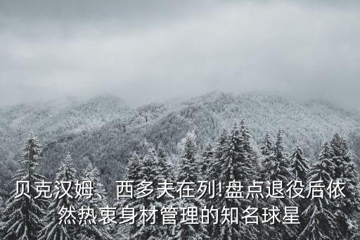 貝克漢姆、西多夫在列!盤點(diǎn)退役后依然熱衷身材管理的知名球星