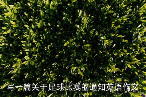 leg足球隊(duì)