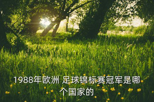 1988年歐洲 足球錦標(biāo)賽冠軍是哪個(gè)國家的