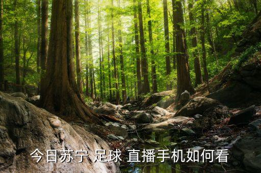 今日蘇寧 足球 直播手機(jī)如何看
