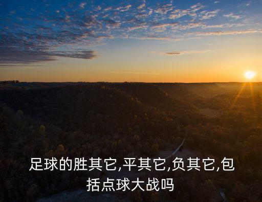 足球負(fù)其他