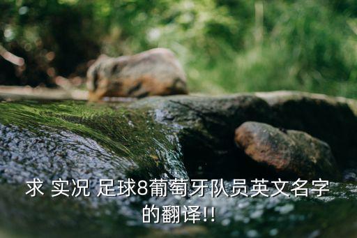 求 實(shí)況 足球8葡萄牙隊(duì)員英文名字的翻譯!!