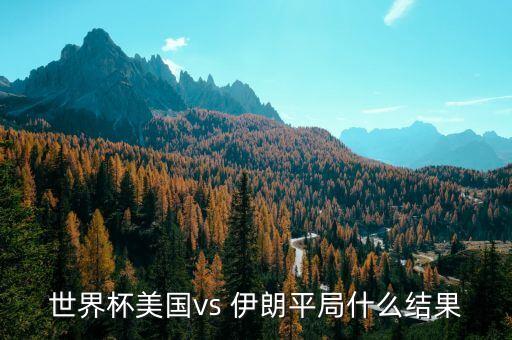 世界杯美國vs 伊朗平局什么結(jié)果