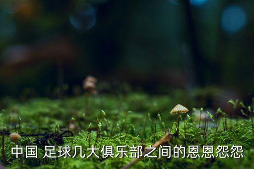 中國(guó) 足球幾大俱樂(lè)部之間的恩恩怨怨