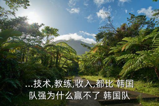...技術(shù),教練,收入,都比 韓國隊(duì)強(qiáng)為什么贏不了 韓國隊(duì)