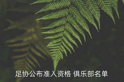 足協(xié)公布準(zhǔn)入資格 俱樂(lè)部名單