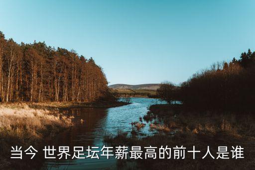 當今 世界足壇年薪最高的前十人是誰
