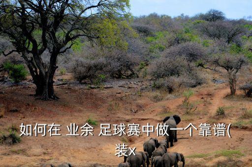 如何在 業(yè)余 足球賽中做一個(gè)靠譜(裝x