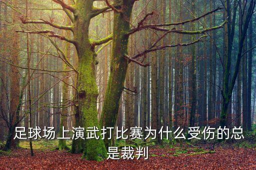  足球場上演武打比賽為什么受傷的總是裁判