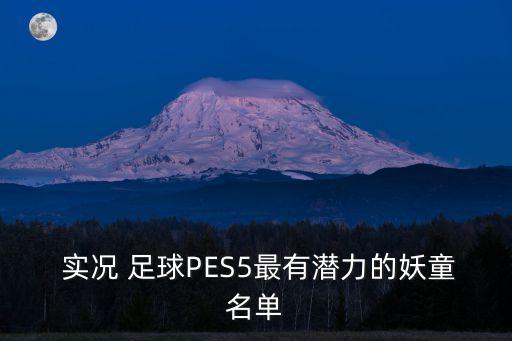  實(shí)況 足球PES5最有潛力的妖童名單