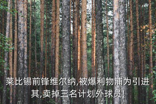 萊比錫前鋒維爾納,被爆利物浦為引進(jìn)其,賣掉三名計(jì)劃外球員!