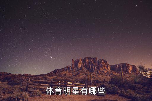 足球運(yùn)動(dòng)員王磊,魔笛足球運(yùn)動(dòng)員