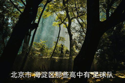 北京市 海淀區(qū)那些高中有 足球隊(duì)