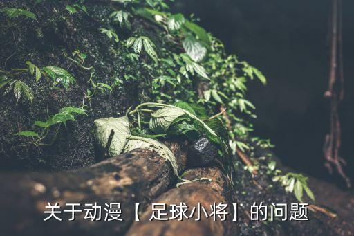 關(guān)于動漫【 足球小將】的問題