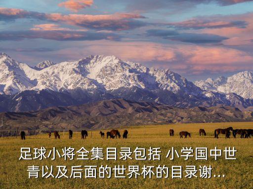  足球小將全集目錄包括 小學(xué)國中世青以及后面的世界杯的目錄謝...