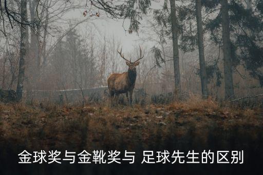 金球獎(jiǎng)與金靴獎(jiǎng)與 足球先生的區(qū)別