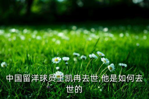 中國留洋球員王凱冉去世,他是如何去世的