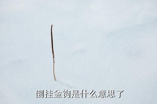  倒掛金鉤是什么意思了